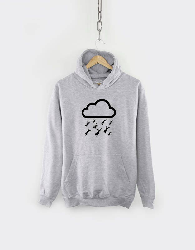Cat Dog Hoodie - Cats Dogs Hoodie - Cat Lover Gift - Dog Lover Gift - Raining Cats And Dogs Hoodie - Cat Lover Gift - Dog Lover Gift