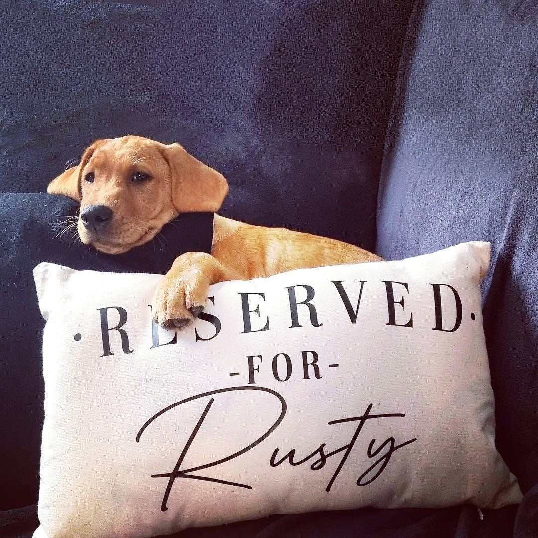 Cocker Spaniel Dog Pillow - Reserved For The Dog Pillow - Springer Spaniel Dog Cushion - Cavalier King Charles Spaniel - Spaniel Gifts