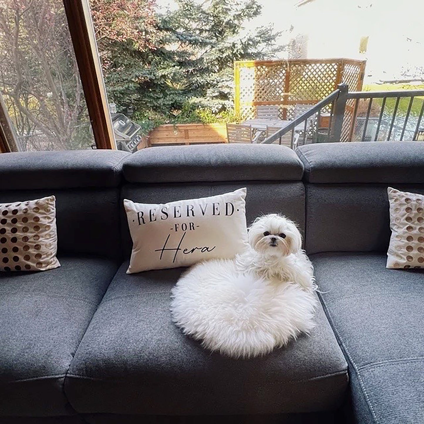 Personalized Dog Pillow - Reserved For The Dog Cushion - Personalised Dog Cushion - Pampered Pooch