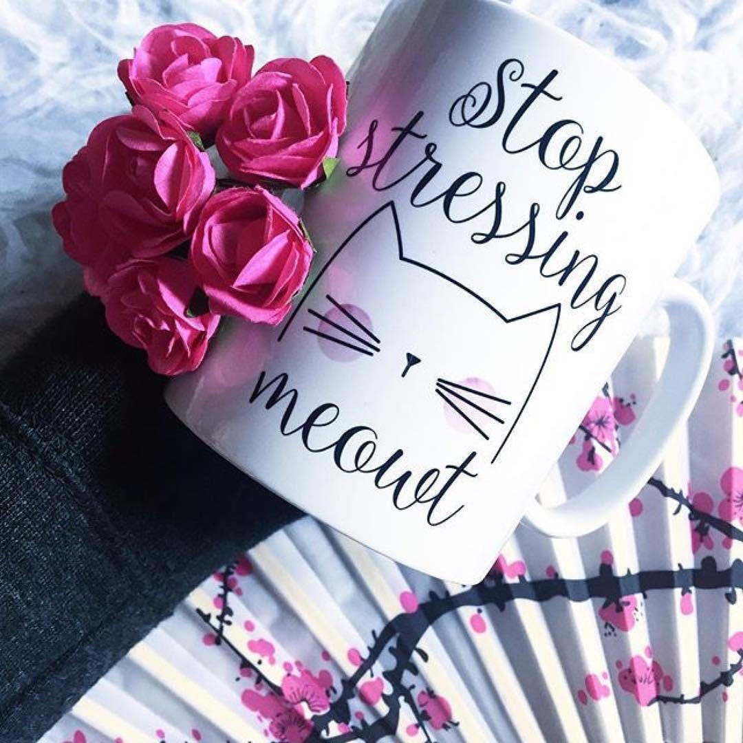 Stop Stressing Meowt - Cat Mug Coffee Tea Break Ceramic Mug Cup