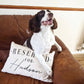 Cocker Spaniel Dog Pillow - Reserved For The Dog Pillow - Springer Spaniel Dog Cushion - Cavalier King Charles Spaniel - Spaniel Gifts