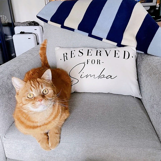 Personalized Cat Pillow - Reserved For The Cat Cushion For Cats Bed - Personalised Cat Cushions For Cats