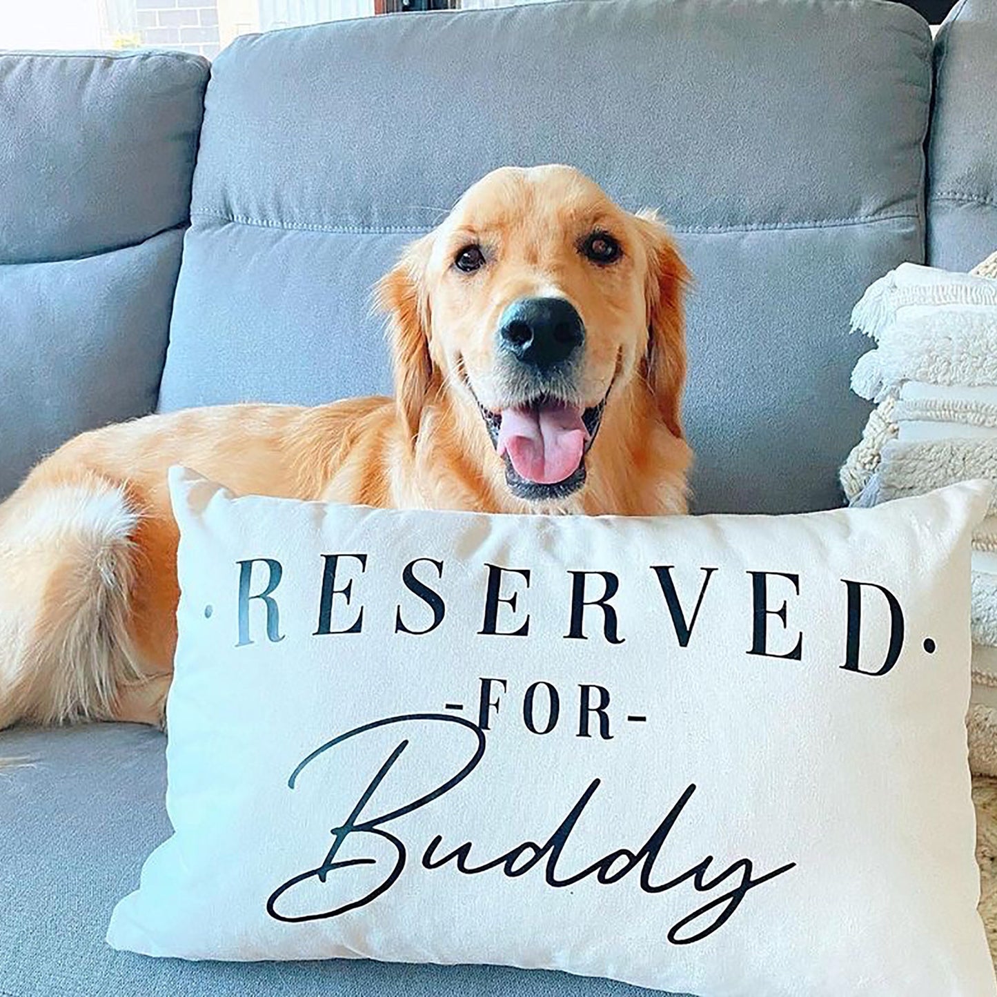 Cocker Spaniel Dog Pillow - Reserved For The Dog Pillow - Springer Spaniel Dog Cushion - Cavalier King Charles Spaniel - Spaniel Gifts