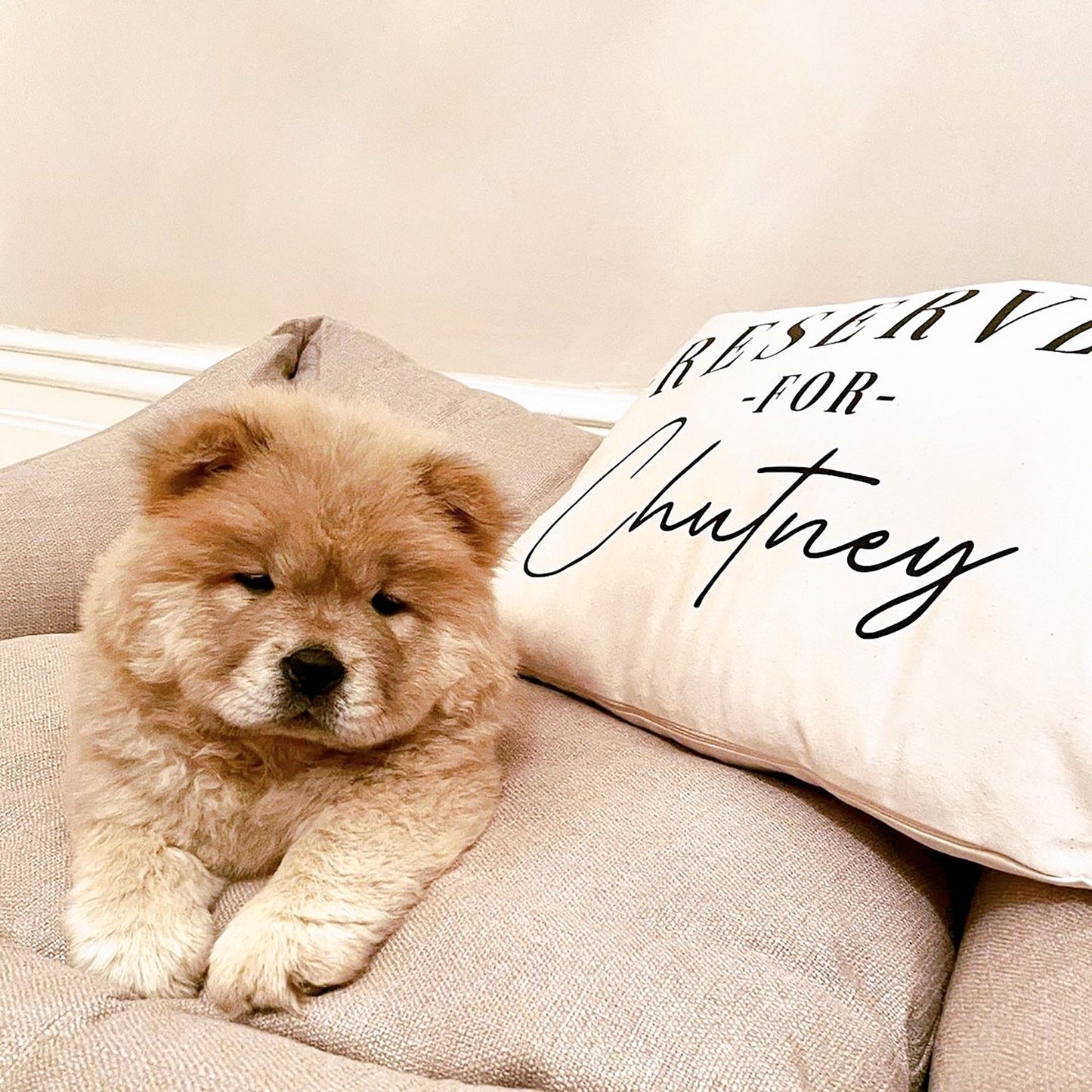 Personalised dog print cushions hotsell